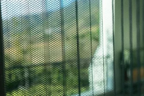 Mosquito Net